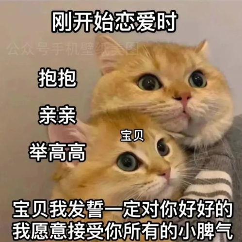 搞笑表情包表情包可爱小女孩动图0703期