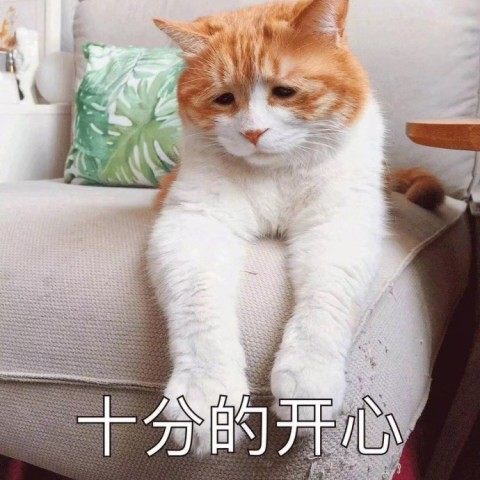 您的睡眠不足修仙表情包到账了,请注意查收网友过于真实