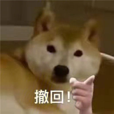 最新版狗狗指人表情大全
