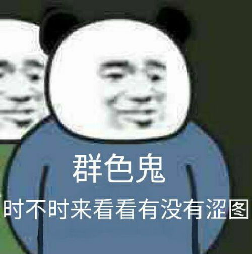 熊猫脸搞笑表情包2