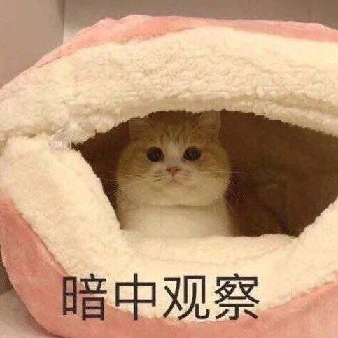 搞笑表情包拿图片魔镜魔镜告诉我,女人到底要什么