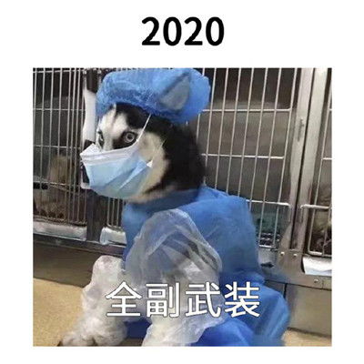 2021一组跨年的搞笑表情包跨过的都会实现的