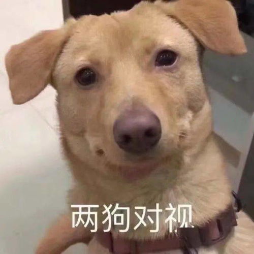 刷个牙,顺便把澡也洗了哈哈哈哈哈,太搞笑了