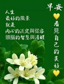 秋日早上好深秋最漂亮的早上问候语图片表情大全