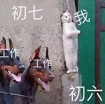 开工版搞怪表情包,看完不信你不笑