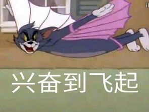 搞笑表情包图猫和老鼠