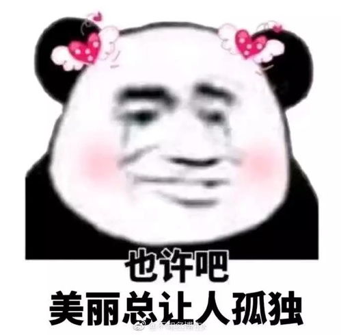 搞笑的图片表情包头像