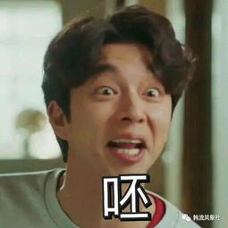 来自鬼怪家族的凝视海量表情包强势来袭