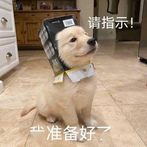 猛男必备又沙雕又可爱表情包