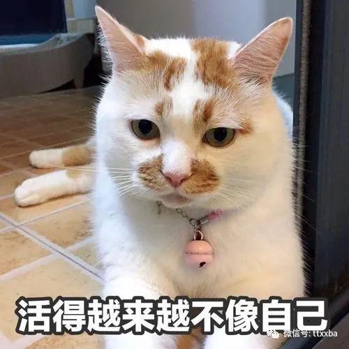 糗事经典冷知识搞笑笑话,吃饭的时候咬到自己的舌头,在车上睡着了头敲到玻璃