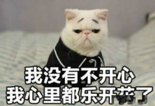 宿舍里什么让你最牵挂