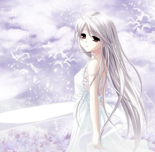 求白发动漫美少女图原创