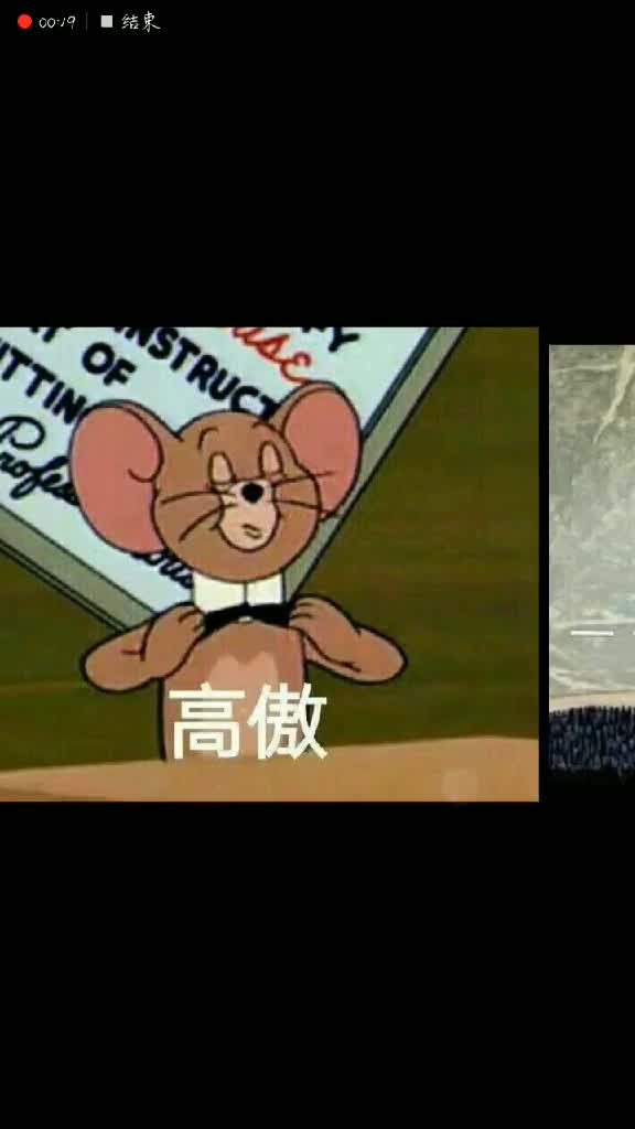 猫和老鼠表情包合集,都是童年回忆