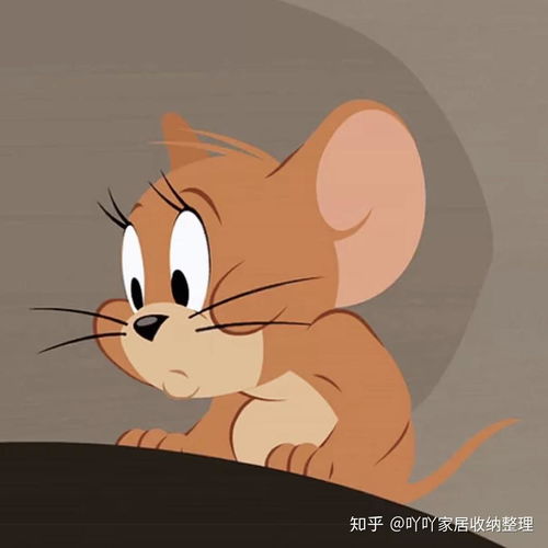 猫和老鼠情侣头像卡通动漫情侣头像