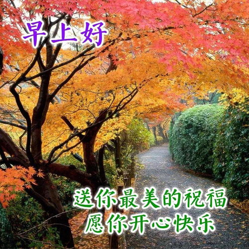 2021年早上好问候语图片表情大全早上好祝福短句唯美图片