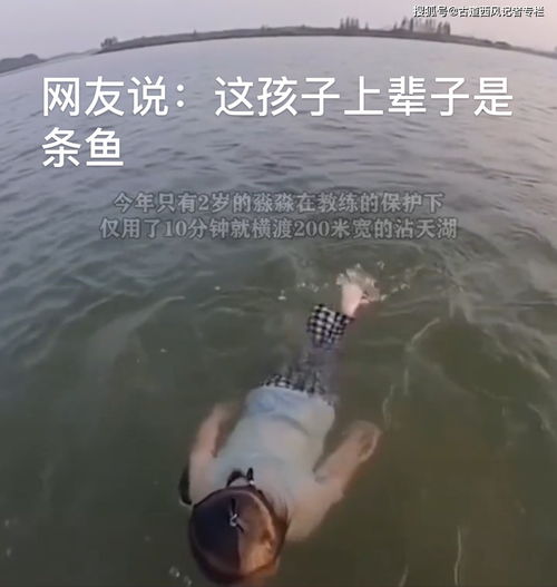 湖南常德出了个人才,2岁小女孩横渡沾天湖,体校这孩子我们要了