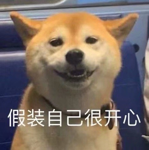 萌宠表情包我在姐姐怀里