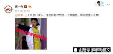 张一山温情告白,制作搞笑表情包为杨紫庆生,网友,同意这门亲事