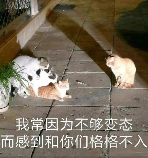 趣知识女性认为在家务活里洗碗是最糟糕的