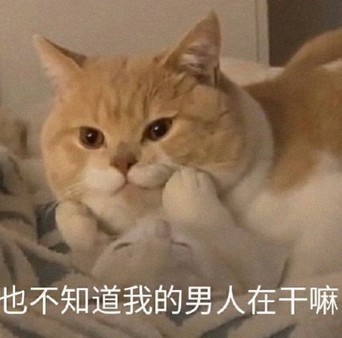 可爱沙雕表情包对不起,您所拨打的耳朵已停机
