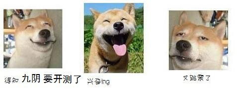 这只狗叫什么表情很搞笑是ps的还是什么求详细名称