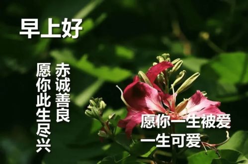 房子再破,一家人开心便好,车再不好,只要平安开到家就行早安星期六