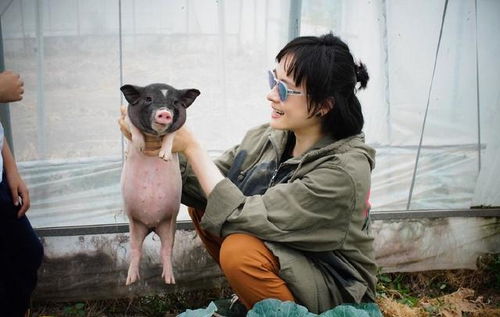 孙俪美貌真被邓超毁了,一身橙绿配抓猪,搞笑表情神似邓超