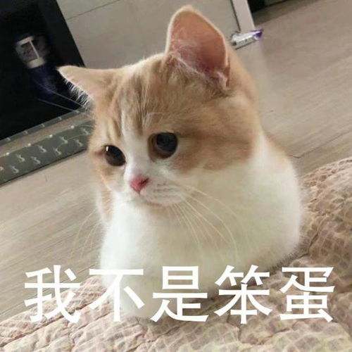幽默笑话这位妈妈永远也忘不了儿子那愤怒的眼神