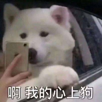e句话看天下丨韩庚结婚了,金希澈也恋爱了,人间值得