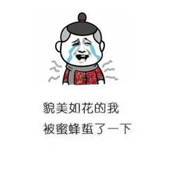 qq群微信群聊天没有斗图表情包怎么行精选金馆长斗图表情包图片