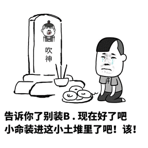 100个搞笑又好玩的表情包
