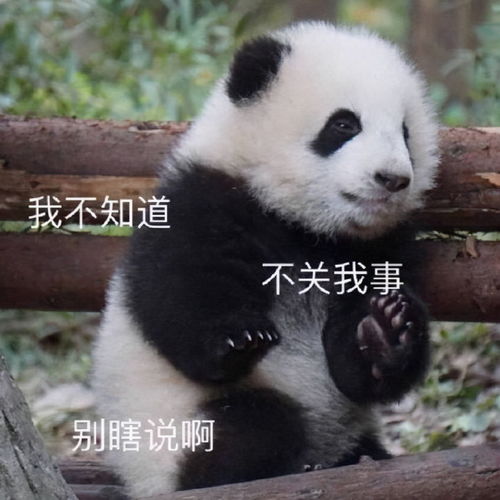 斗图表情包合集不知该哭还是该笑