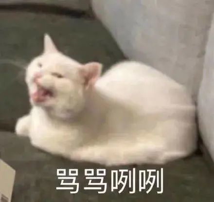 在评论区捧哏,怎么就成这届年轻人社交的新把戏了