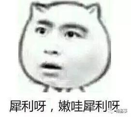 微信群斗图必备皮皮虾我们走,南昌宁专用表情包