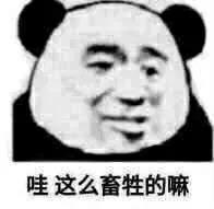精选好玩可爱表情包动态不要对我凶凶,我的心会痛痛