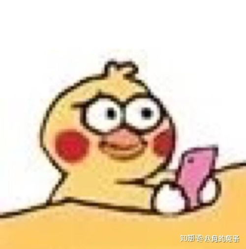 有哪些有趣的小黄鸡表情包