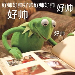 科米蛙gif表情包片