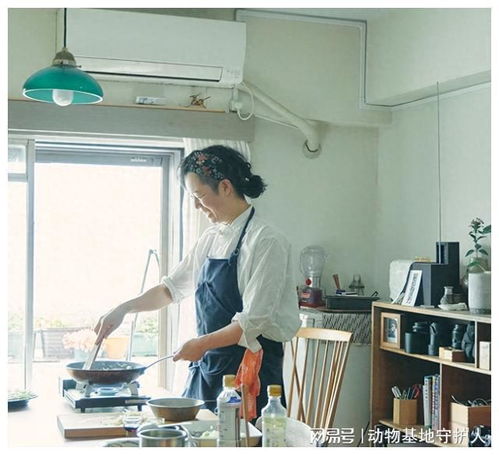 65岁的老年人头像退休