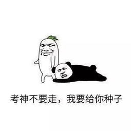 高考来了表情包下载高考来了表情包高清无水印极光下载站