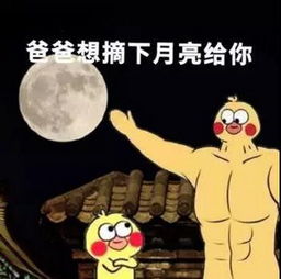 表情包,抖音七彩小黄鸭全套表情包哪里有