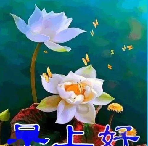 7月18日问候早上好图片带字动态表情周末早上好图片问候祝福语句子