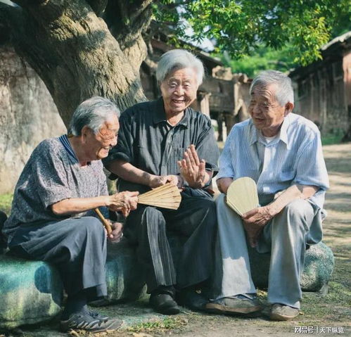 高龄补贴新政来了1954年以前出生的老人,每月居然能领这么多