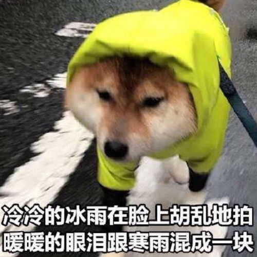 up主爆哭5分钟,细数逆水寒20个大世界罪状就是不想让人好好玩