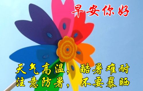 夏季最漂亮早上好动态表情图片大全,早晨好动图美图大全