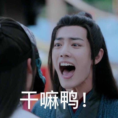 有什么有趣的陈情令表情包