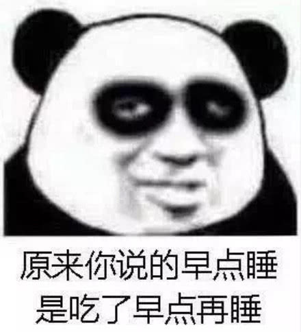 熊猫头熬夜党专用表情我能怎么办我也很想睡