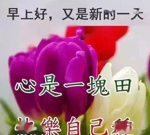有一些期盼,总是连绵不断有一些时间,总是飞逝如电,早安