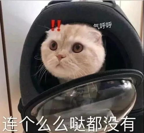 幽默笑话我发誓我看懂它的意思了,这是人干的事吗