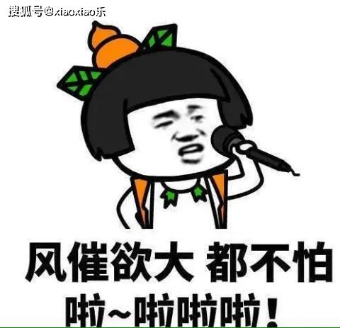 史上又冷又短的冷笑话,轻松又搞笑,奇葩到没朋友
