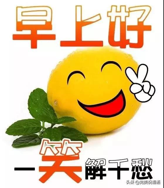 岁月静好,红的花来绿的草敞开怀抱,不计较来不自扰,早安